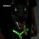 Glow-in-the-dark Doberman Print T-shirt